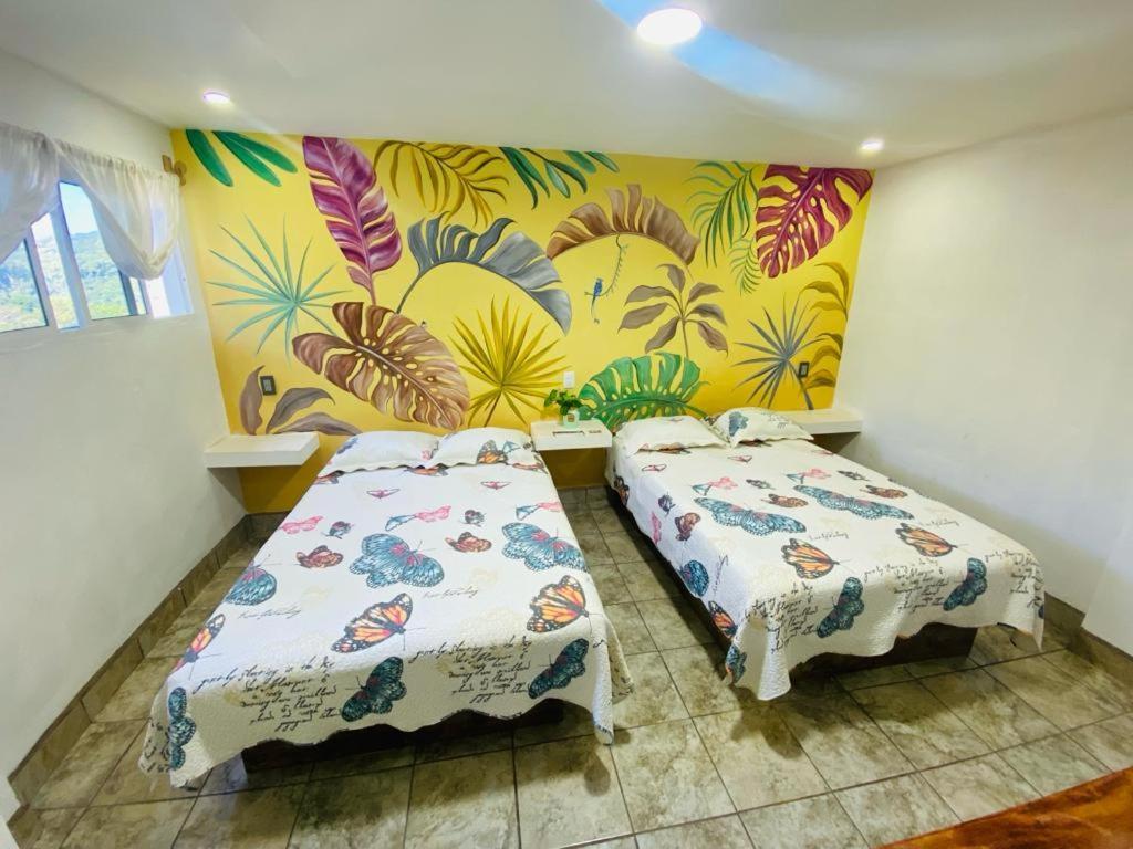 K&M Hotel Xilitla Exterior photo